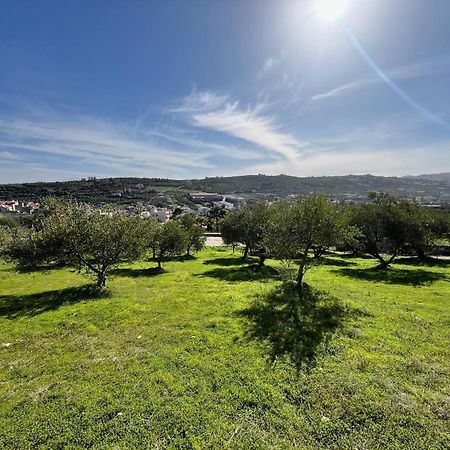 The Olive Grove Villas With Swimming Pool And Breakfast Archanes Exterior foto