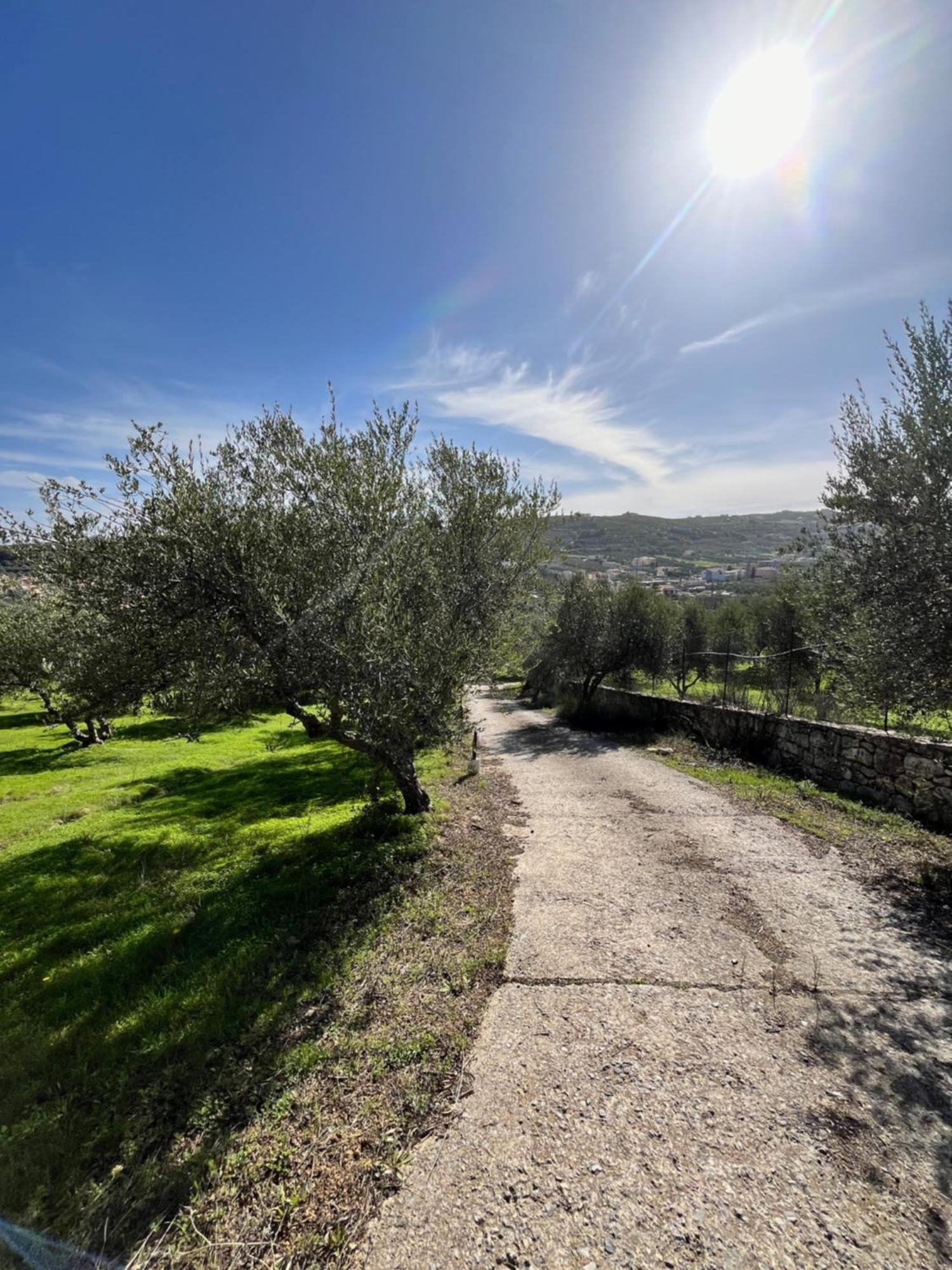 The Olive Grove Villas With Swimming Pool And Breakfast Archanes Exterior foto