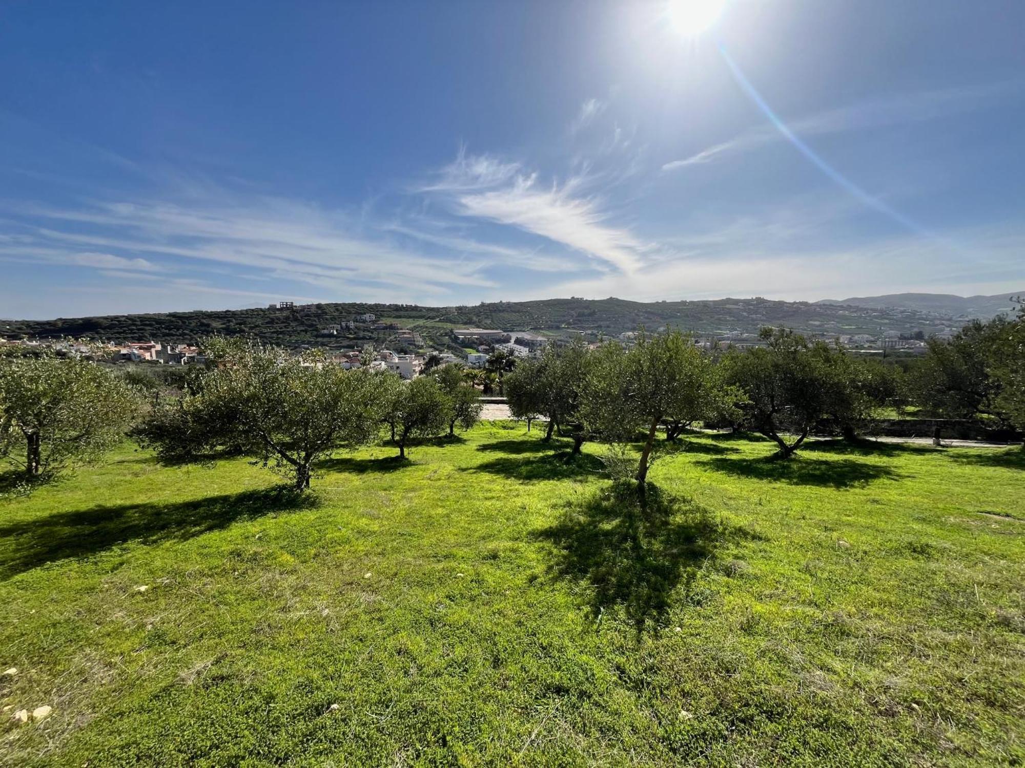 The Olive Grove Villas With Swimming Pool And Breakfast Archanes Exterior foto